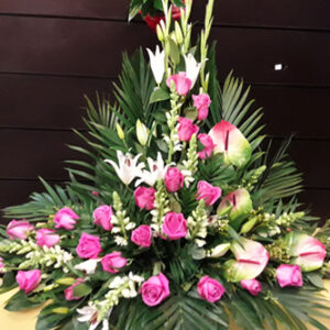 Palma rosas fucsia y anthirrino