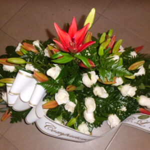 Palma de suelo 2 caras