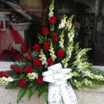 Palma mitad rosas rojas mitad antirrino