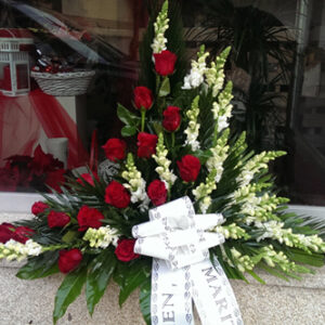 Palma mitad rosas rojas mitad antirrino