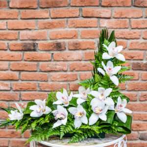 Centro en J de Orquídea Blanca 40 euros
