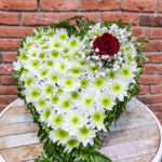 Corazón de Margarita Blanca y 1 Rosa Roja con Paniculata 35 euros