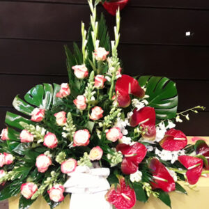 Palma rosas jaspeada y anthurium rojo