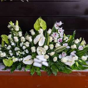 Palma blanca y verde de 150€