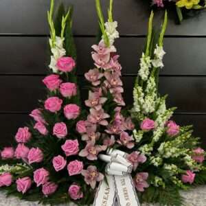 Palma rosas rosas, orquidea rosa y antirrino