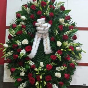 Corona con antirrino