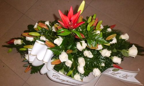 Palma de suelo 2 caras