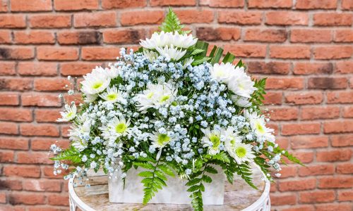 Centro de Margarita Blanca y Paniculata Azul 25 euros