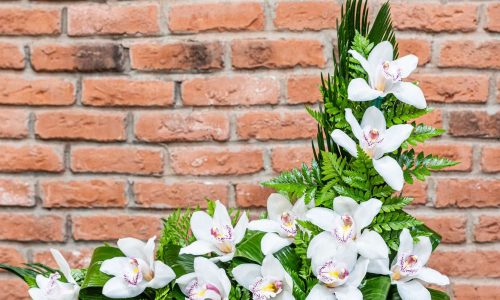 Centro en J de Orquídea Blanca 40 euros