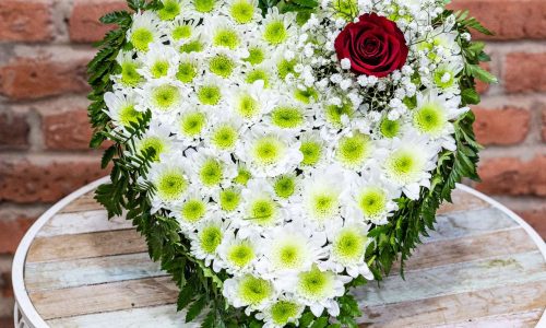 Corazón de Margarita Blanca y 1 Rosa Roja con Paniculata 35 euros