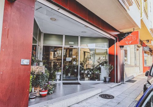 Fotos del interior de la flroistería xuncos en cee 1