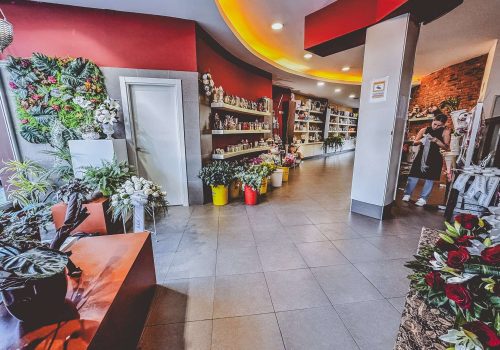 Fotos del interior de la flroistería xuncos en cee 10