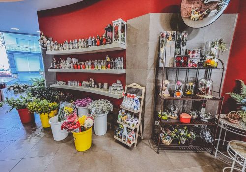 Fotos del interior de la flroistería xuncos en cee 9