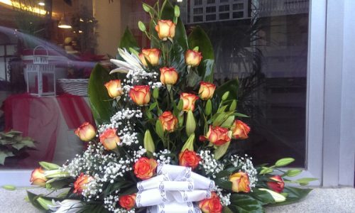 palma rosas naranja y paniculata