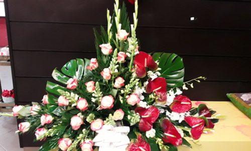 Palma rosas jaspeada y anthurium rojo