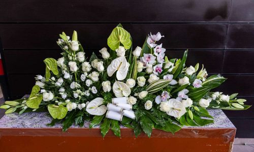Palma blanca y verde de 150€