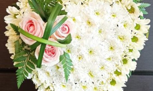 Corazon margarita blanca