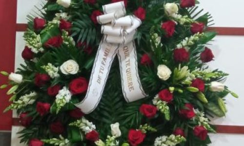 Corona con antirrino