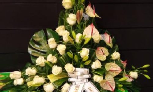 Palma rosas blancas anthurium mixto