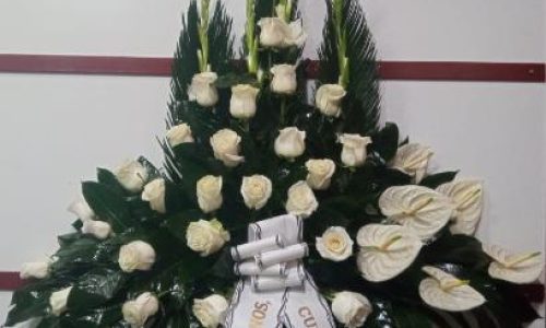 Palma rosas blancas y anthurium blanco