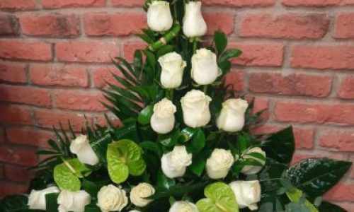Palma rosas blancas y anthurium verde