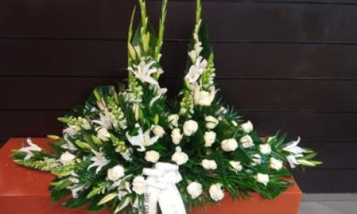 Palma rosas blancas y antirrino blanco