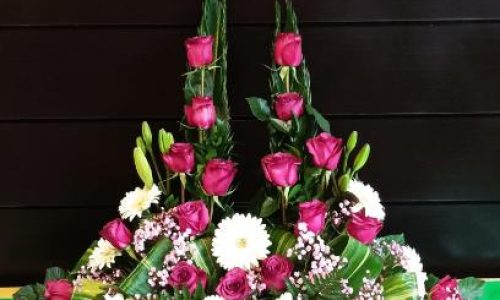 Palma rosas fucsia y gerbera blanca