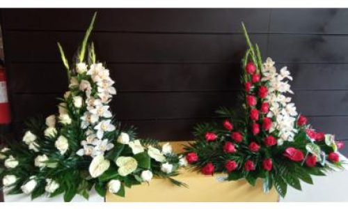 Palmas rojas y rosas blancas