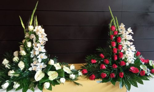 Palmas 120€ Roja Y Blanca