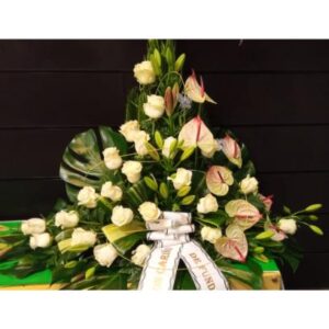 Palma rosas blancas anthurium mixto