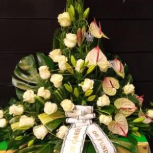 Palma rosas blancas anthurium mixto