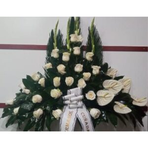 Palma rosas blancas y anthurium blanco