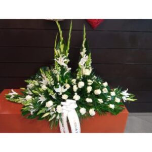 Palma rosas blancas y antirrino blanco