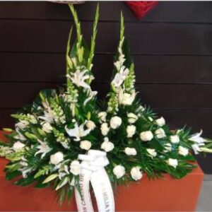 Palma rosas blancas y antirrino blanco