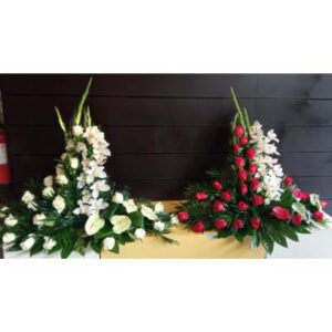Palmas rojas y rosas blancas
