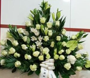 Palma rosas blancas